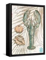 Aqua Lobster-Chad Barrett-Framed Stretched Canvas