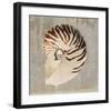 Aqua Marine II-null-Framed Art Print