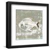 Aqua Marine IX-null-Framed Art Print