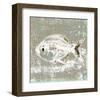 Aqua Marine IX-null-Framed Art Print