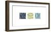 Aqua Marine-Denise Duplock-Framed Giclee Print