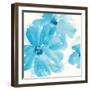 Aqua Mint Clematis I-Chris Paschke-Framed Art Print