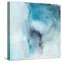 Aqua Movement-Michelle Oppenheimer-Stretched Canvas