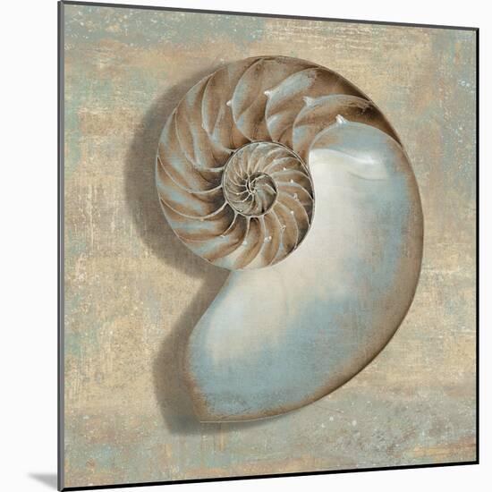 Aqua Nautilus-Caroline Kelly-Mounted Art Print