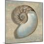 Aqua Nautilus-Caroline Kelly-Mounted Art Print