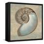 Aqua Nautilus-Caroline Kelly-Framed Stretched Canvas