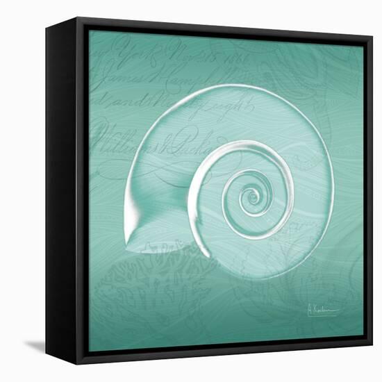 Aqua Ramshorn-Albert Koetsier-Framed Stretched Canvas