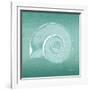 Aqua Ramshorn-Albert Koetsier-Framed Art Print