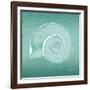 Aqua Ramshorn-Albert Koetsier-Framed Art Print