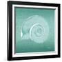 Aqua Ramshorn-Albert Koetsier-Framed Art Print