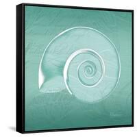 Aqua Ramshorn-Albert Koetsier-Framed Stretched Canvas