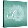 Aqua Ramshorn-Albert Koetsier-Stretched Canvas