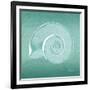 Aqua Ramshorn-Albert Koetsier-Framed Art Print