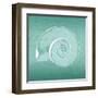 Aqua Ramshorn-Albert Koetsier-Framed Art Print