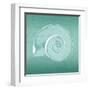 Aqua Ramshorn-Albert Koetsier-Framed Art Print