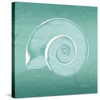 Aqua Ramshorn-Albert Koetsier-Stretched Canvas