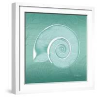 Aqua Ramshorn-Albert Koetsier-Framed Art Print