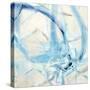 Aqua Refreshment-Jodi Maas-Stretched Canvas