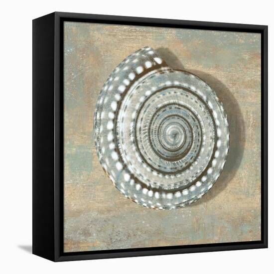 Aqua Seashell-Caroline Kelly-Framed Stretched Canvas
