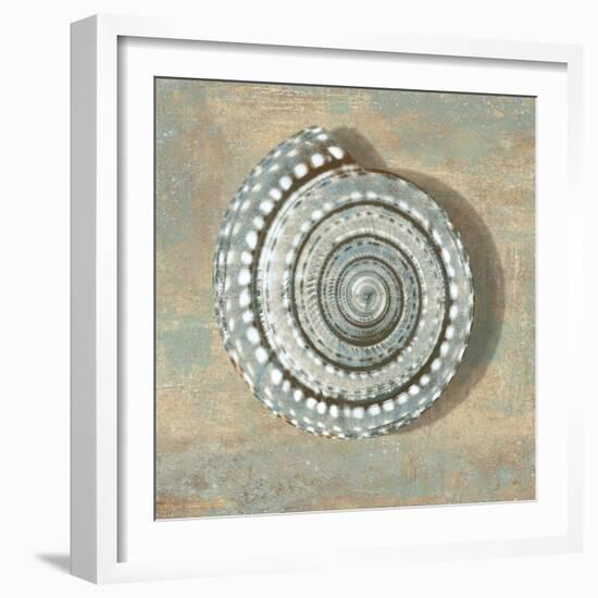 Aqua Seashell-Caroline Kelly-Framed Art Print