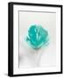 Aqua Sorbet I-J^P^ Prior-Framed Giclee Print