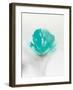 Aqua Sorbet I-J^P^ Prior-Framed Giclee Print