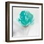 Aqua Sorbet I-J^P^ Prior-Framed Art Print