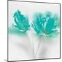 Aqua Sorbet II-J^P^ Prior-Mounted Art Print