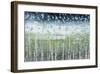 Aqua Splash-Liz Nichtberger-Framed Giclee Print