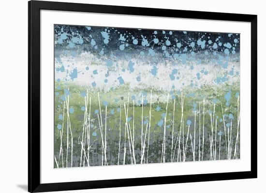 Aqua Splash-Liz Nichtberger-Framed Giclee Print