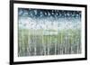 Aqua Splash-Liz Nichtberger-Framed Giclee Print