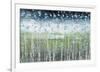 Aqua Splash-Liz Nichtberger-Framed Giclee Print