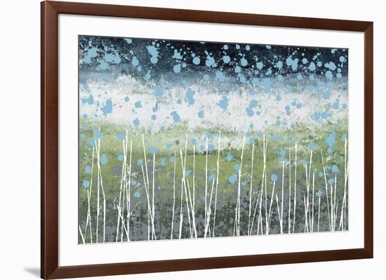 Aqua Splash-Liz Nichtberger-Framed Giclee Print