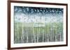 Aqua Splash-Liz Nichtberger-Framed Giclee Print