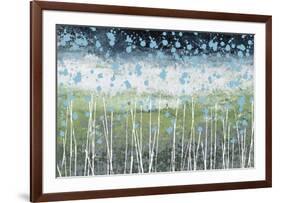 Aqua Splash-Liz Nichtberger-Framed Giclee Print