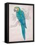 Aqua Tropical-Chad Barrett-Framed Stretched Canvas