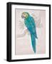 Aqua Tropical-Chad Barrett-Framed Art Print