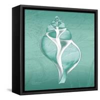 Aqua Tulip Shell-Albert Koetsier-Framed Stretched Canvas