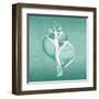 Aqua Tulip Shell-Albert Koetsier-Framed Art Print