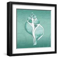 Aqua Tulip Shell-Albert Koetsier-Framed Art Print