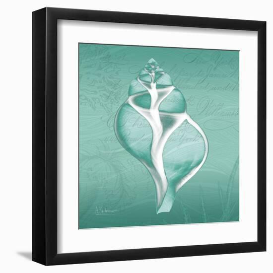 Aqua Tulip Shell-Albert Koetsier-Framed Art Print