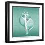 Aqua Tulip Shell-Albert Koetsier-Framed Art Print