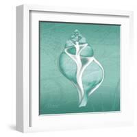 Aqua Tulip Shell-Albert Koetsier-Framed Art Print