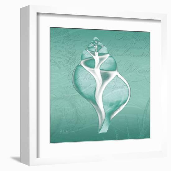 Aqua Tulip Shell-Albert Koetsier-Framed Art Print