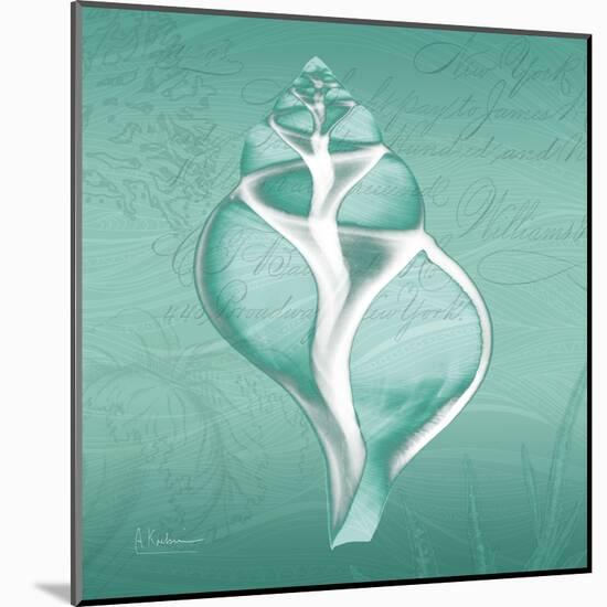 Aqua Tulip Shell-Albert Koetsier-Mounted Art Print