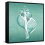 Aqua Tulip Shell-Albert Koetsier-Framed Stretched Canvas