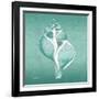 Aqua Tulip Shell-Albert Koetsier-Framed Art Print