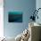 Aqua-Josh Adamski-Mounted Photographic Print displayed on a wall