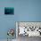 Aqua-Josh Adamski-Stretched Canvas displayed on a wall