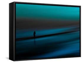 Aqua-Josh Adamski-Framed Stretched Canvas